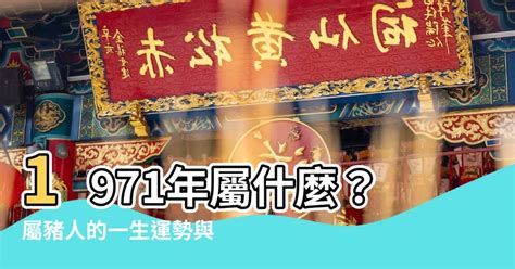 1971 豬|1971年屬什麼生肖？1971年出生人的命運？釵釧金。